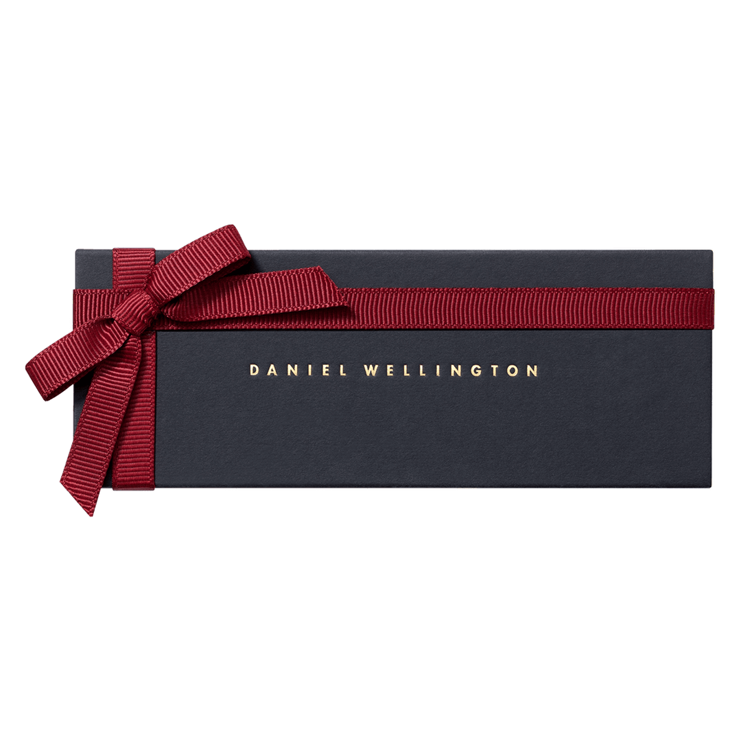 Daniel Wellington Classic 18 Southampton Silver Watch Band