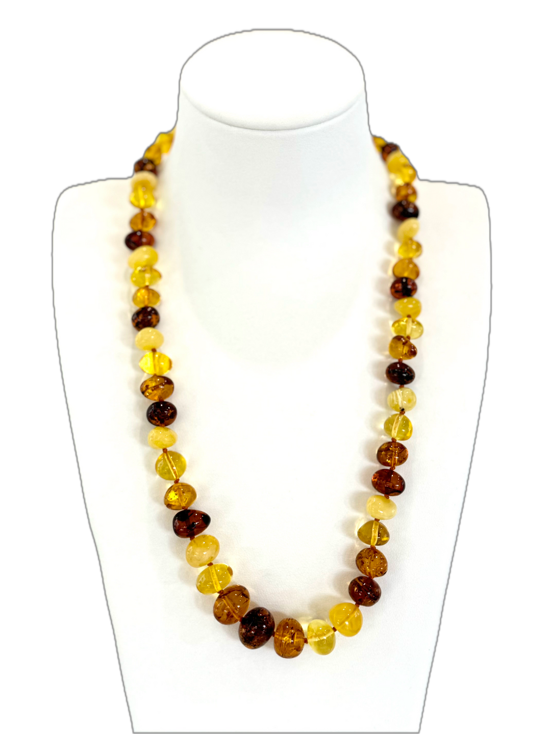 Baltic Amber Multi-Colour Graduated Necklace