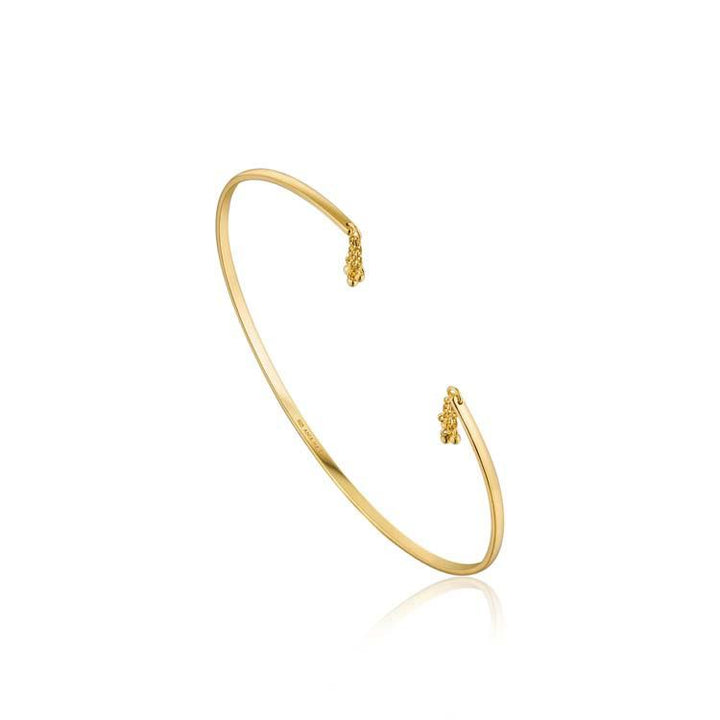 Ania Haie Tassel Drop Bangle - Gold